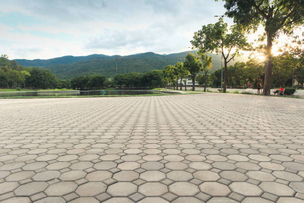 Best Professional Driveway Pavers  in Snead, AL